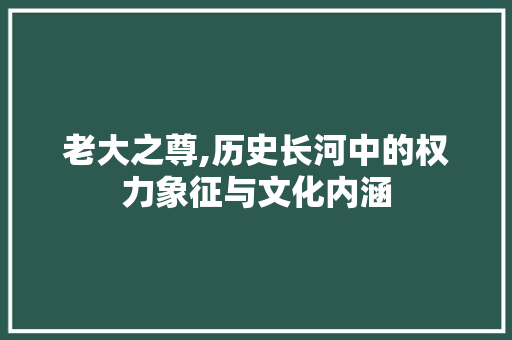 老大之尊,历史长河中的权力象征与文化内涵