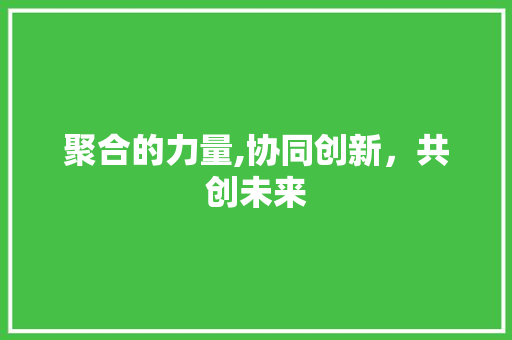 聚合的力量,协同创新，共创未来