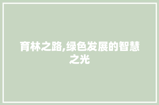 育林之路,绿色发展的智慧之光