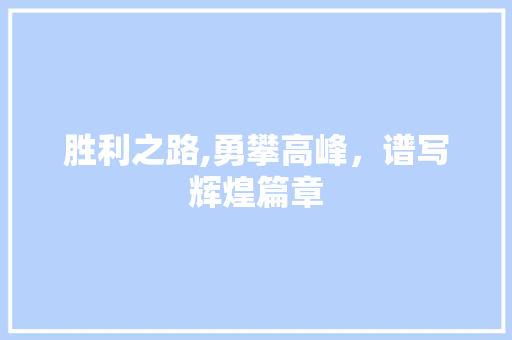 胜利之路,勇攀高峰，谱写辉煌篇章