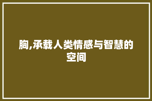胸,承载人类情感与智慧的空间