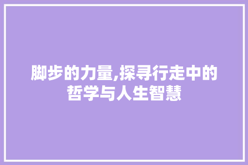 脚步的力量,探寻行走中的哲学与人生智慧