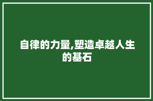自律的力量,塑造卓越人生的基石