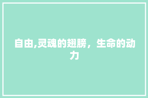 自由,灵魂的翅膀，生命的动力