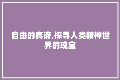 自由的真谛,探寻人类精神世界的瑰宝