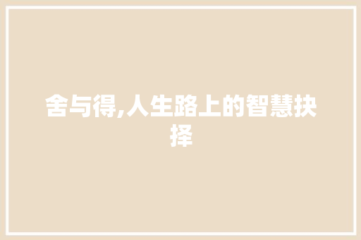 舍与得,人生路上的智慧抉择