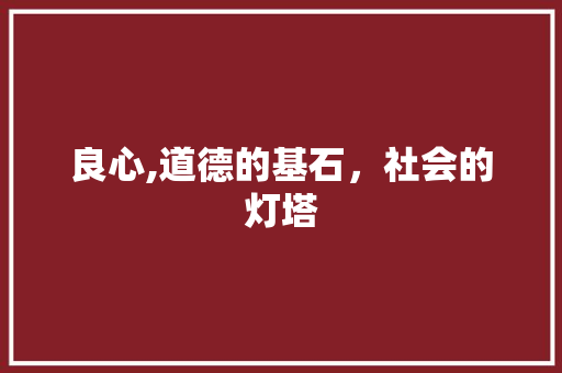 良心,道德的基石，社会的灯塔