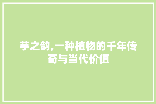 芋之韵,一种植物的千年传奇与当代价值