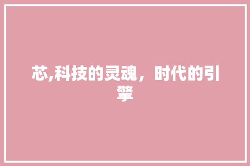 芯,科技的灵魂，时代的引擎