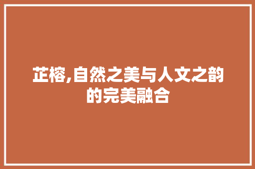 芷榕,自然之美与人文之韵的完美融合