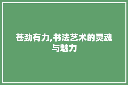 苍劲有力,书法艺术的灵魂与魅力