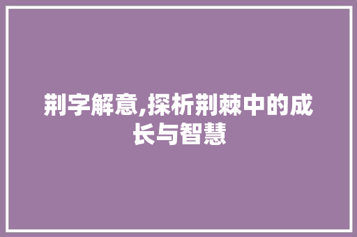 荆字解意,探析荆棘中的成长与智慧