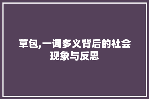 草包,一词多义背后的社会现象与反思