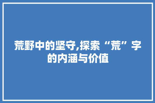 荒野中的坚守,探索“荒”字的内涵与价值