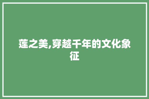 莲之美,穿越千年的文化象征