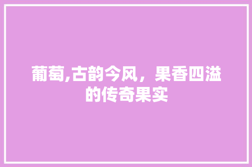葡萄,古韵今风，果香四溢的传奇果实