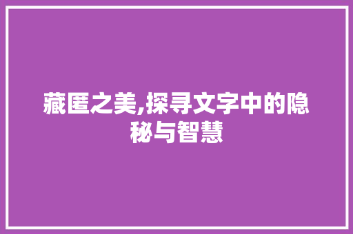 藏匿之美,探寻文字中的隐秘与智慧