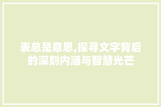 表总是意思,探寻文字背后的深刻内涵与智慧光芒