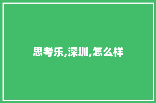 思考乐,深圳,怎么样