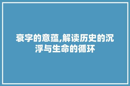 衰字的意蕴,解读历史的沉浮与生命的循环