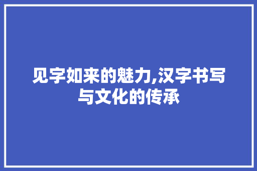 见字如来的魅力,汉字书写与文化的传承