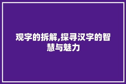观字的拆解,探寻汉字的智慧与魅力