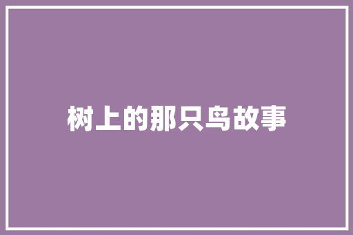 探寻“有”字的深远意蕴,从哲学到生活