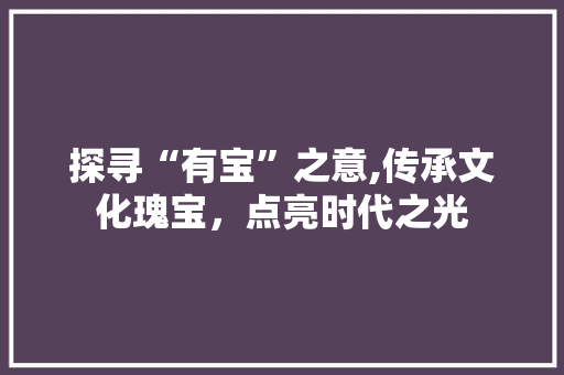 探寻“有宝”之意,传承文化瑰宝，点亮时代之光