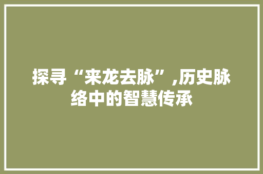 探寻“来龙去脉”,历史脉络中的智慧传承