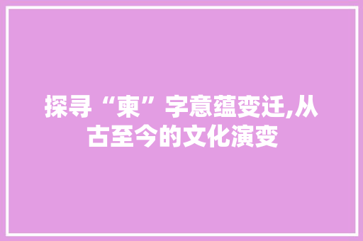 探寻“柬”字意蕴变迁,从古至今的文化演变
