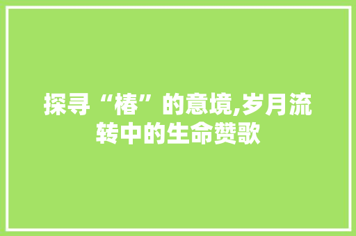 探寻“椿”的意境,岁月流转中的生命赞歌