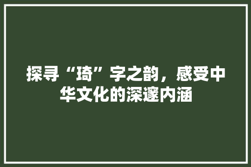 探寻“琦”字之韵，感受中华文化的深邃内涵