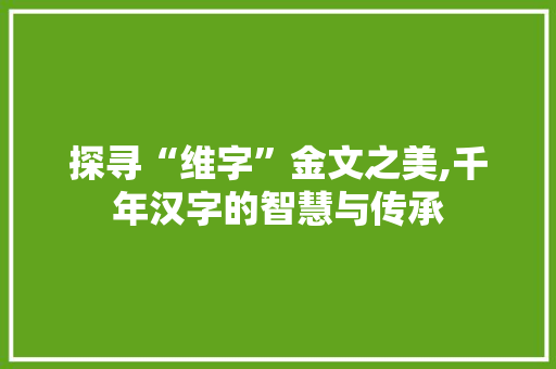探寻“维字”金文之美,千年汉字的智慧与传承