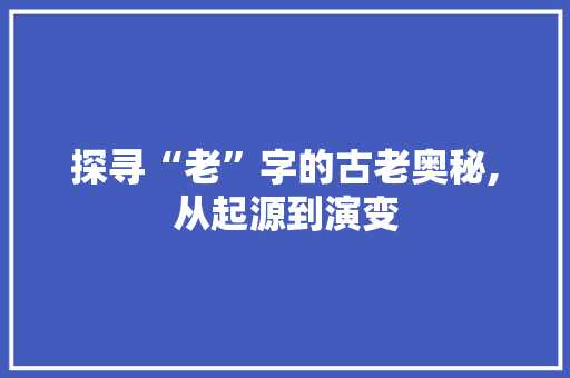 探寻“老”字的古老奥秘,从起源到演变