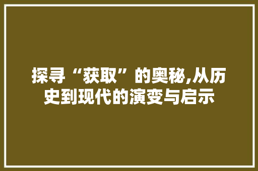 探寻“获取”的奥秘,从历史到现代的演变与启示