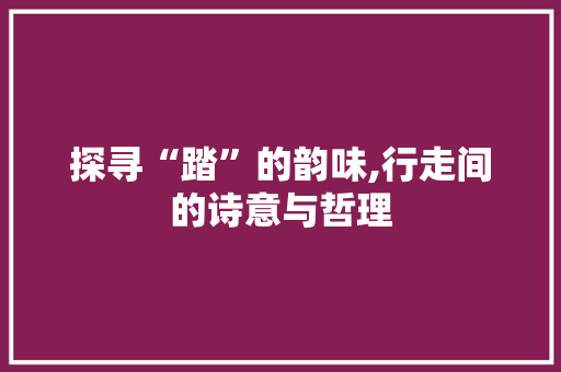 探寻“踏”的韵味,行走间的诗意与哲理