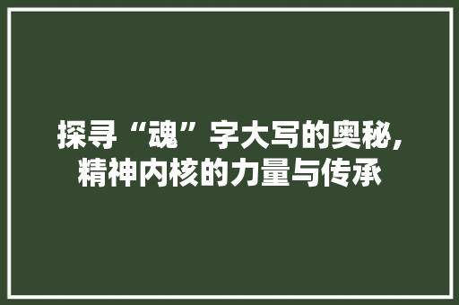 探寻“魂”字大写的奥秘,精神内核的力量与传承