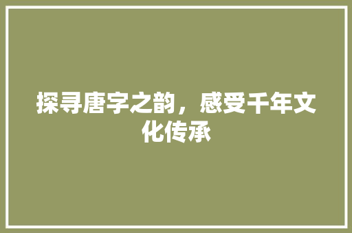 探寻唐字之韵，感受千年文化传承