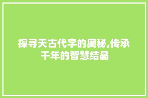 探寻天古代字的奥秘,传承千年的智慧结晶