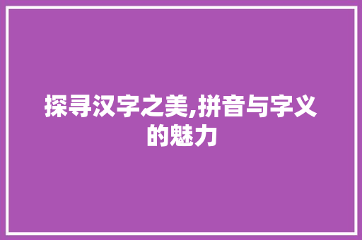 探寻汉字之美,拼音与字义的魅力