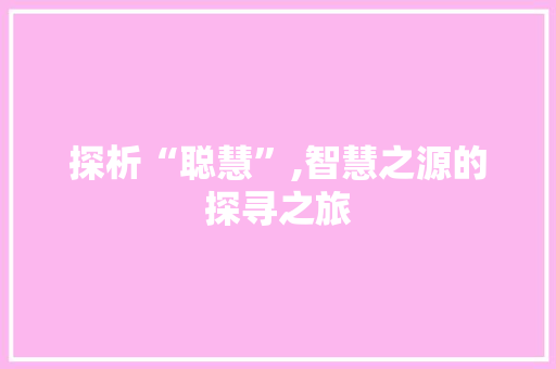 探析“聪慧”,智慧之源的探寻之旅