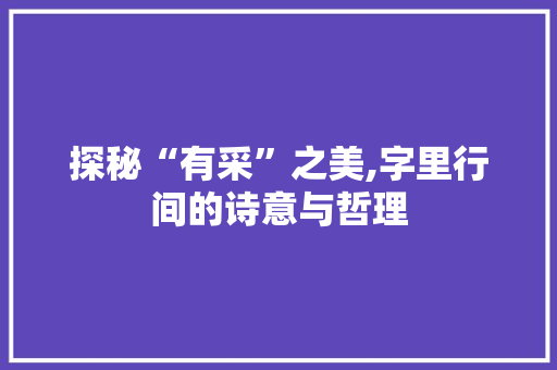 探秘“有采”之美,字里行间的诗意与哲理