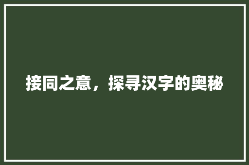 接同之意，探寻汉字的奥秘