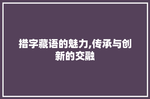 措字藏语的魅力,传承与创新的交融