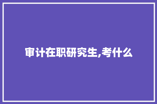 审计在职研究生,考什么