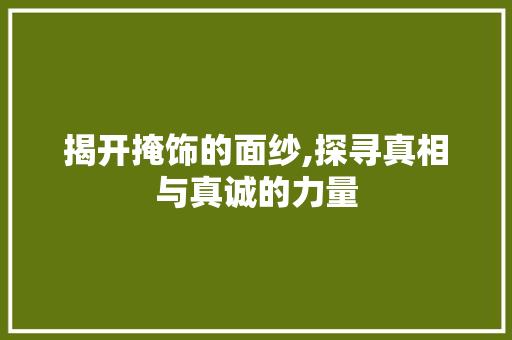揭开掩饰的面纱,探寻真相与真诚的力量