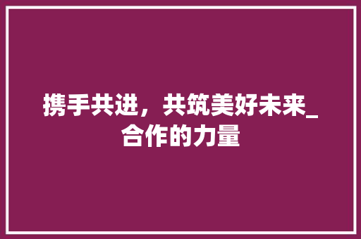 携手共进，共筑美好未来_合作的力量
