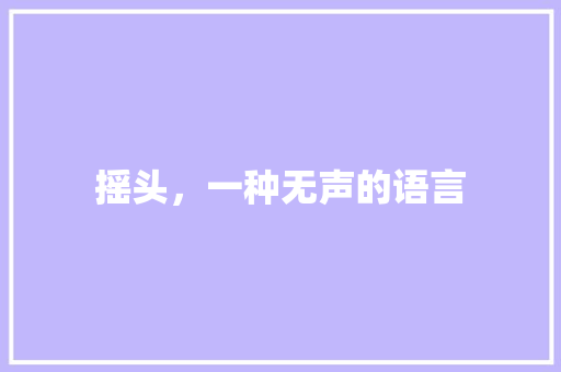 摇头，一种无声的语言