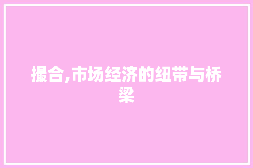 撮合,市场经济的纽带与桥梁