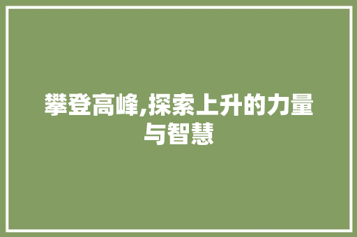 攀登高峰,探索上升的力量与智慧